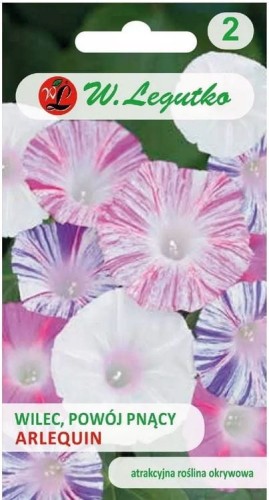 Wilec, Powój pnący Arlequin Mix kolorów LEGUTKO