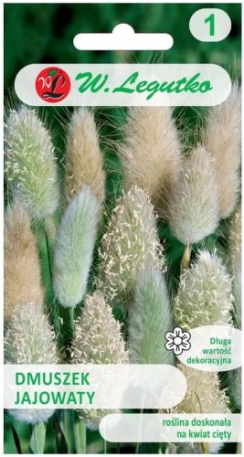 Dmuszek jajowaty trawa LEGUTKO
