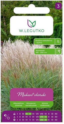 Miskant chiński, trawa wieloletnia dekoracyjna LEGUTKO