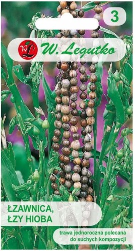 Łzawica ŁZY HIOBA jednoroczna 3g LEGUTKO