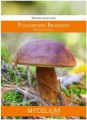 Grzybnia POGRZYBEK Brunatny 60ml MYCELIUM