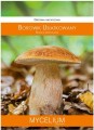 Grzybnia BOROWIK Usiatkowany 60ml MYCELIUM
