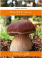 Grzybnia BOROWIK Sosnowy 60ml MYCELIUM