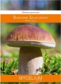 Grzybnia BOROWIK Szlachetny 60ml MYCELIUM