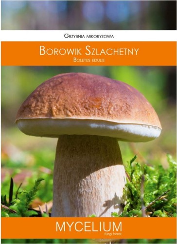 Grzybnia BOROWIK Szlachetny 60ml MYCELIUM