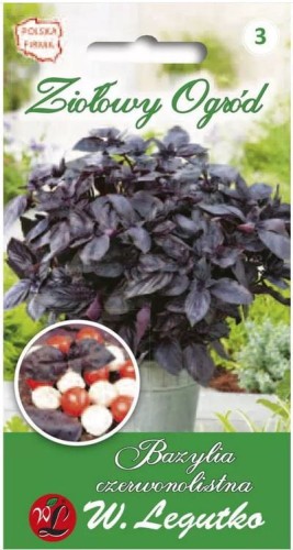 Bazylia czerwonolistna - zioła LEGUTKO