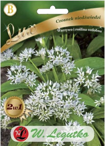 Czosnek Niedźwiedzi wieloletni LEGUTKO LUX