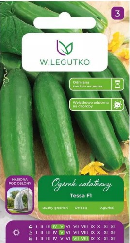 Ogórek sałatkowy TESSA F1 5g LEGUTKO