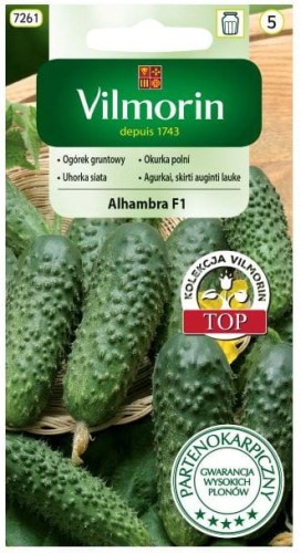 Ogórek gruntowy Alhambra F1 3g VILMORIN