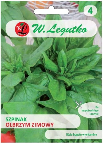 Szpinak Winterreuzen Olbrzym zimowy LEGUTKO 20g
