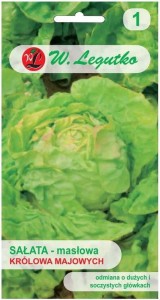 Sałata May King - Królowa Majowych LEGUTKO