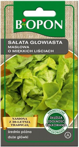 Sałata głowiasta MASŁOWA o miękkich liściach BIOPON