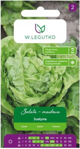 Sałata masłowa Justyna 1g LEGUTKO