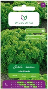 Sałata liściowa Lollo Bionda karbowana LEGUTKO