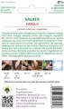 Sałata KAROLA łodygowa LEGUTKO 