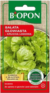 Sałata głowiasta Krucha lodowa LAIBACHER EIS 2 BIOPON