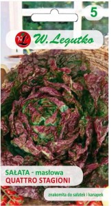 Sałata Quattro stagioni Czerwona LEGUTKO
