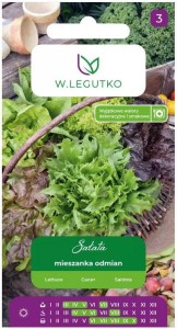 Sałata mieszanka odmian LEGUTKO