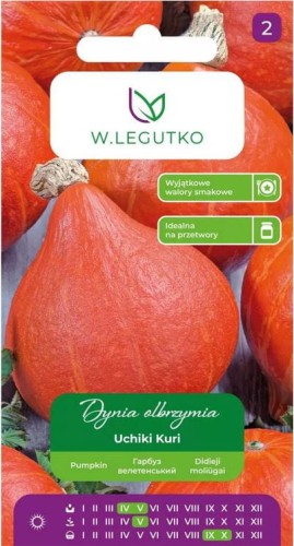 Dynia olbrzymia Uchiki Kuri japońska LEGUTKO