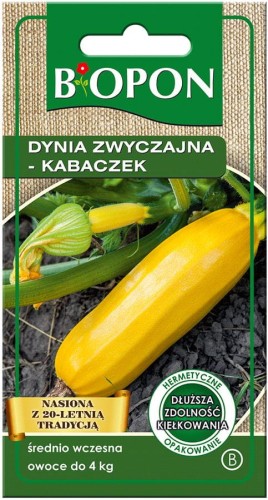 Dynia zwyczajna Złoty Cepelin - Kabaczek 2g BIOPON