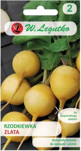 Rzodkiewka Żółta Zlata LEGUTKO