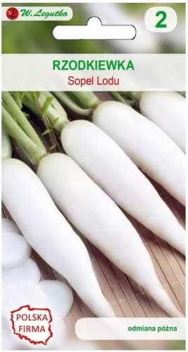 Rzodkiewka Sopel Lodu Biała LEGUTKO