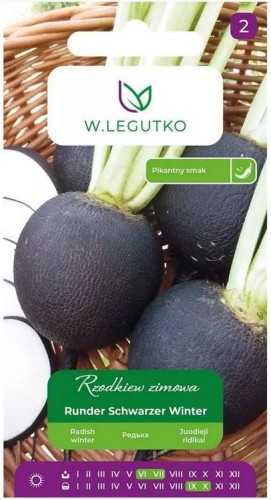 Rzodkiew zimowa Runder Schwarzer Winter LEGUTKO