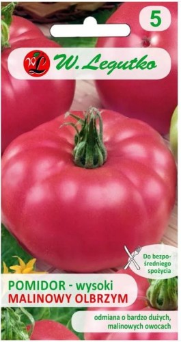 Pomidor gruntowy wysoki Malinowy Olbrzym LEGUTKO