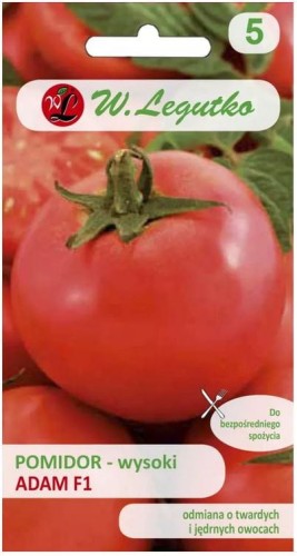 Pomidor gruntowy wysoki Adam F1 LEGUTKO