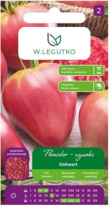 Pomidor malinowy bawole serce OXHEART nasiona zaprawiane LEGUTKO