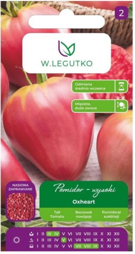 Pomidor malinowy bawole serce OXHEART nasiona zaprawiane LEGUTKO