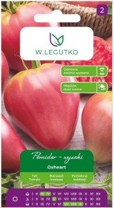 Pomidor malinowy Oxheart Bawole Serce LEGUTKO