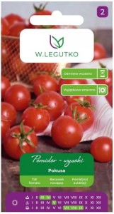 Pomidor wysoki czereśniowy Pokusa LEGUTKO