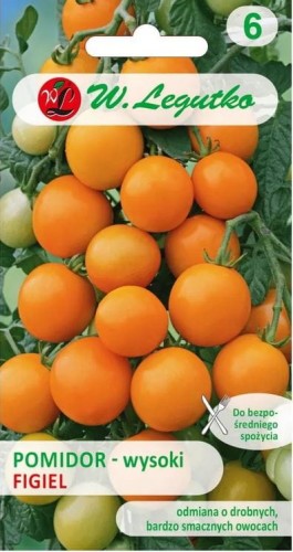 Pomidor wysoki Figiel Pomarańczowy LEGUTKO