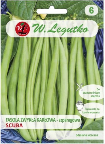 Fasola szparagowa karłowa zielona Scuba LEGUTKO