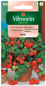 Pomidor doniczkowy Bajaja VILMORIN