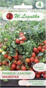 Pomidor Karłowy Maskotka LEGUTKO