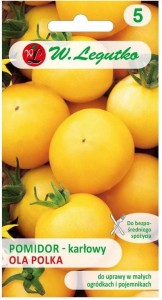 Pomidor gruntowy karłowy Ola Polka LEGUTKO