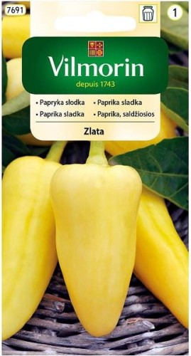 Papryka słodka Zlata Żółta VILMORIN