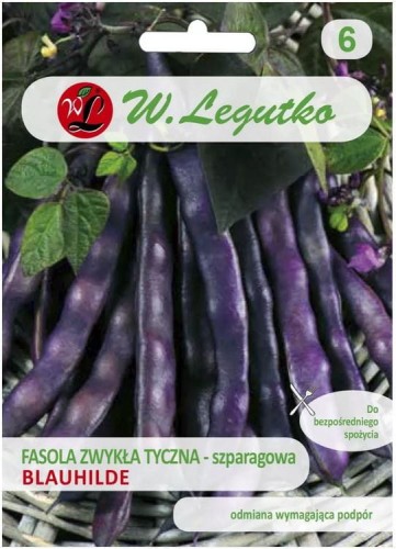 Fasola szparagowa tyczna Blauhilde Fioletowa LEGUTKO
