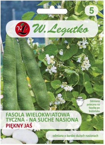 Fasola tyczna Piękny Jaś LEGUTKO