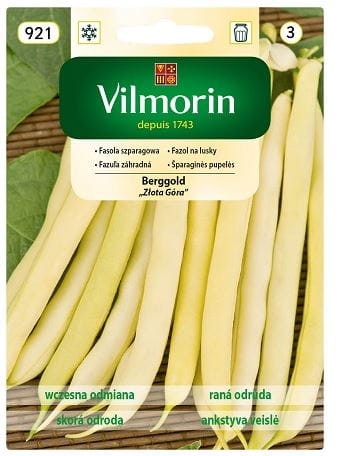 Fasola szparagowa Berggold Złota Góra VILMORIN