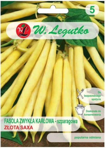 Fasola szparagowa karłowa Złota Saxa Żółta LEGUTKO