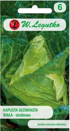 Kapusta biała stożkowa Cuor di bue grosso LEGUTKO