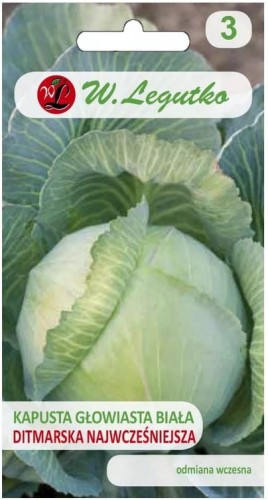 Kapusta Dithmarscher Fruher, Ditmarska Biała LEGUTKO
