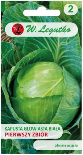 Kapusta głowiasta BIAŁA pierwszy zbiór 2g LEGUTKO