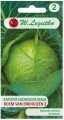 Kapusta Roem van Enkhuizen 2 LEGUTKO