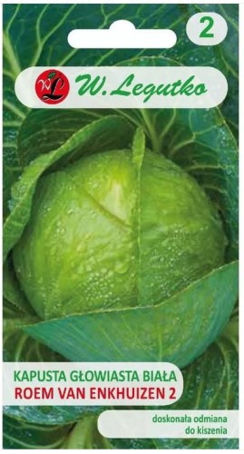 Kapusta Roem van Enkhuizen 2 LEGUTKO