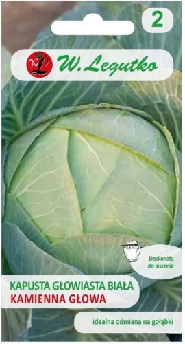 Kapusta głowiasta biała Kamienna Głowa LEGUTKO