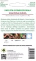 Kapusta głowiasta biała Kamienna Głowa LEGUTKO